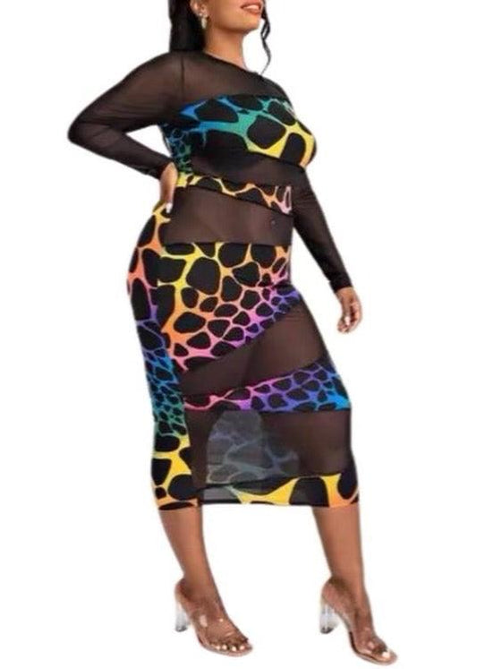 Rainbow Leopard Print Sheer Dress